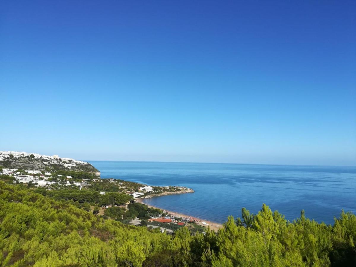 Residence Olimpia Peschici Dış mekan fotoğraf